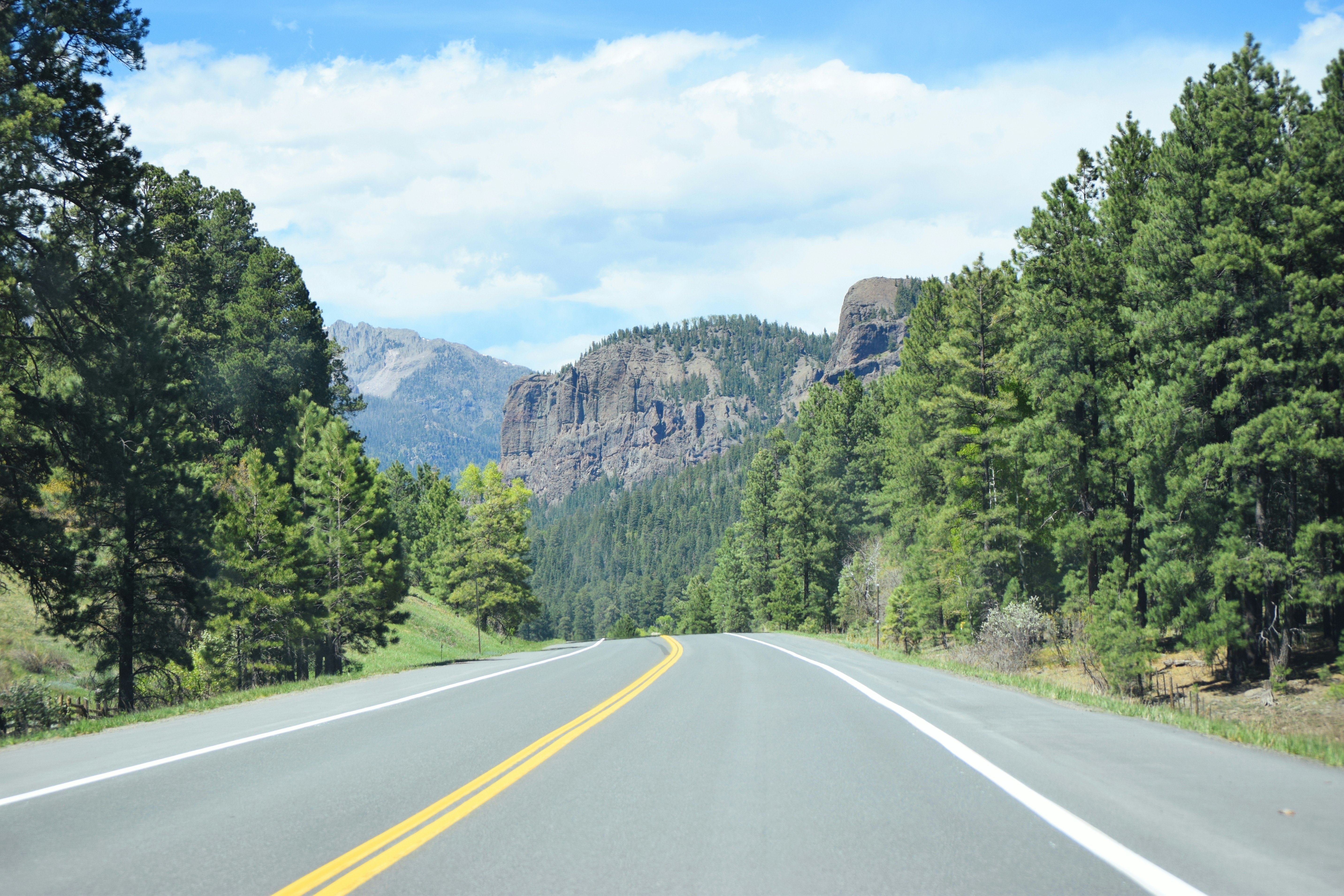 أسئلة الرخصة النظرية